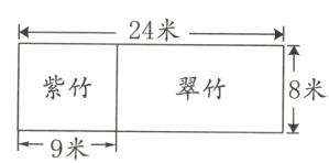紫竹翠竹8米9米