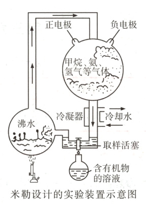 的溶液米勒设计的实验装置示意图