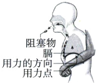 用力的方用力点一