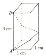 A1cm¹cm