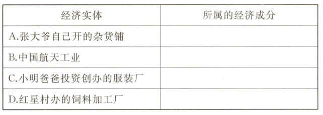 C小明爸爸投资创办的服装厂D红星村办的饲料加工厂