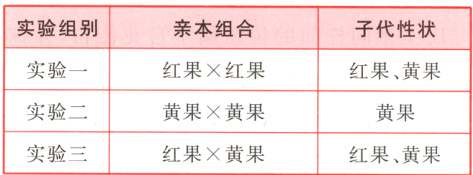实验二黄果×黄果黄果实验三红果×黄果红果黄果