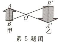 B甲第5题图