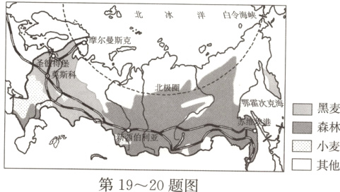 小麦二其他第1920题图