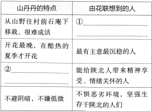 不惧恶劣环境坚强生不避阴暗不嫌低微存于陕北的人们