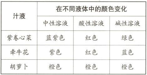 胡萝卜橙色橙色橙色