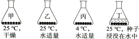 25°℃25°℃;种子25°℃4°C干燥水适量水适量浸没在水中