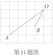 第11题图