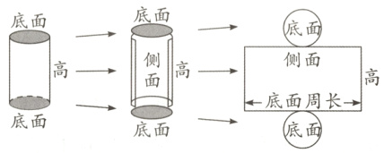 底面→一底面周长底面底面