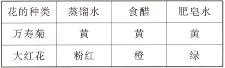 万寿菊大红花粉红