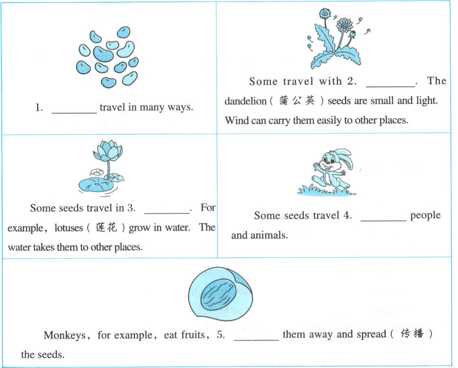 themawayandspreadtheseeds