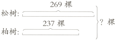 棵237棵柏树