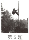第5题