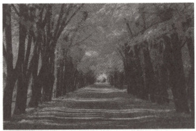 III手法;④不少于