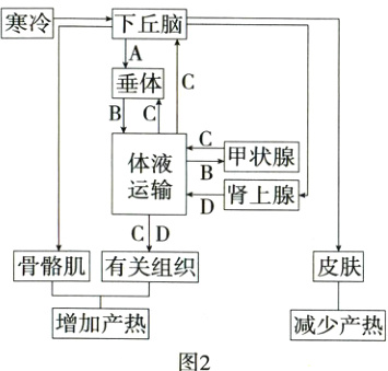 增加产热减少产热图2