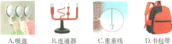 C重垂线D书包带A吸盘B连通器