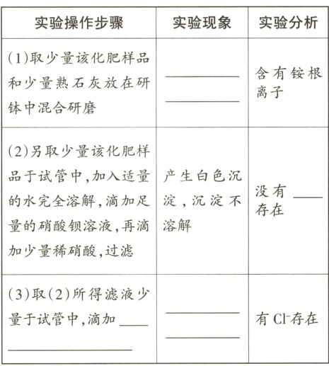 有Cl存在量于试管中 滴加