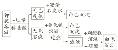 +硝酸银过滤滤液+硝液