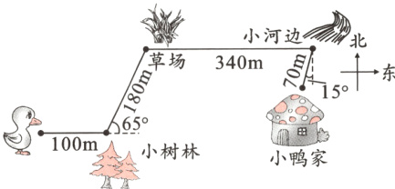 100m小树林小鸭家