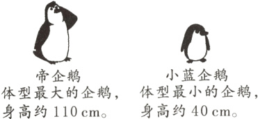 小蓝企鹅帝企鹅体型最大的企鹅体型最小的企鹅身高约40cm身高约110cmo