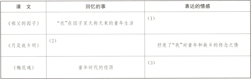 3童年时代的经历梅花魂