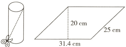 25cm314cm