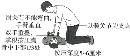 掌根按压胸骨中下部13处按压深度56厘米