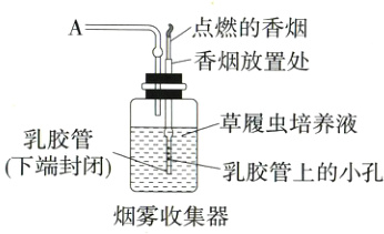 下端封闭一乳胶管上的小孔烟雾收集器