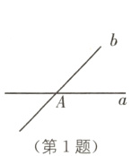 第1题