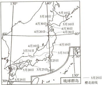 3月25日樱花前线