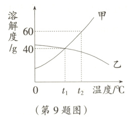 温度/℃第9题图