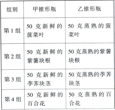 50克新鲜的50克蒸熟的百第4组合花百合花