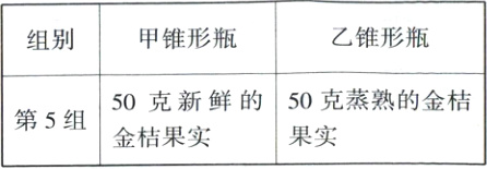 50克新鲜的50克蒸熟的金桔第5组果实金桔果实