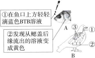 缘流出的溶液变成黄色