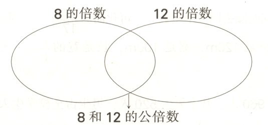 8和12的公倍数