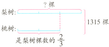 桃树frac23是梨树棵数的