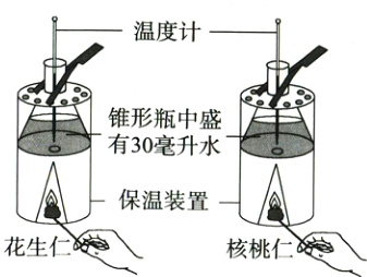 花生仁氏核桃仁