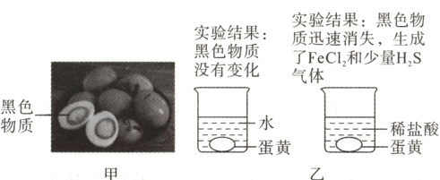 物质盐酸蛋黄蛋黄