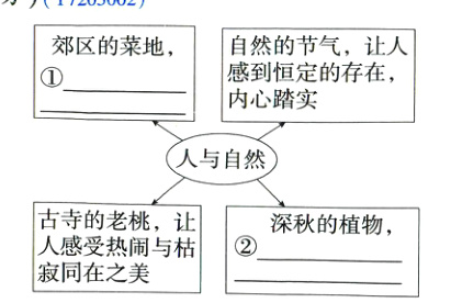 人感受热闹与枯寂同在之美