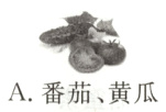 A番茄黄瓜