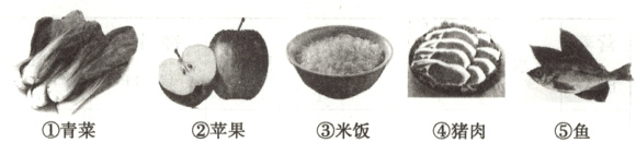 ①青菜②苹果③米饭④猪肉5鱼