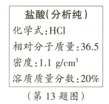 溶质质量分数20%第13题图