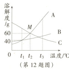 1曲线上M点表示0t1t2t温度/℃第12题图