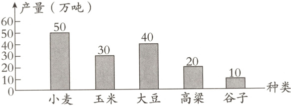 10种类大豆高粱谷子麦玉米