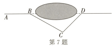 第7题