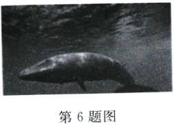 第6题图