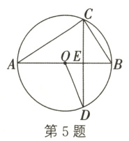 第5题