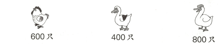 600只400只800只