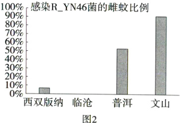 西双版纳临沧普洱文山图2