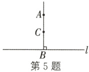 第5题